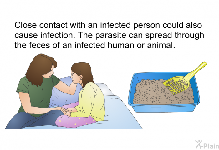 Close contact with an infected person could also cause infection. The parasite can spread through the feces of an infected human or animal.