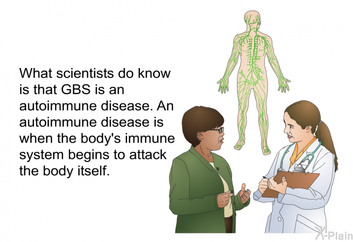 What scientists do know is that GBS is an autoimmune disease. An autoimmune disease is when the body's immune system begins to attack the body itself.