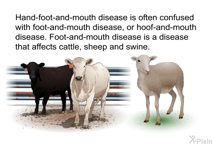 Hand-foot-and-mouth disease is often confused with foot-and-mouth disease, or hoof-and-mouth disease. Foot-and-mouth disease is a disease that affects cattle, sheep and swine.
