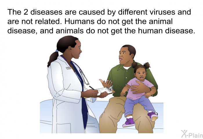 The 2 diseases are caused by different viruses and are not related. Humans do not get the animal disease, and animals do not get the human disease.