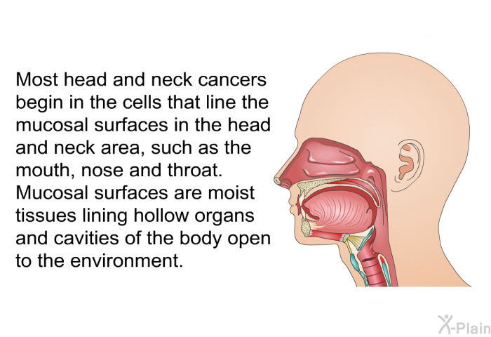Most head and neck cancers begin in the cells that line the mucosal surfaces in the head and neck area, such as the mouth, nose and throat. Mucosal surfaces are moist tissues lining hollow organs and cavities of the body open to the environment.