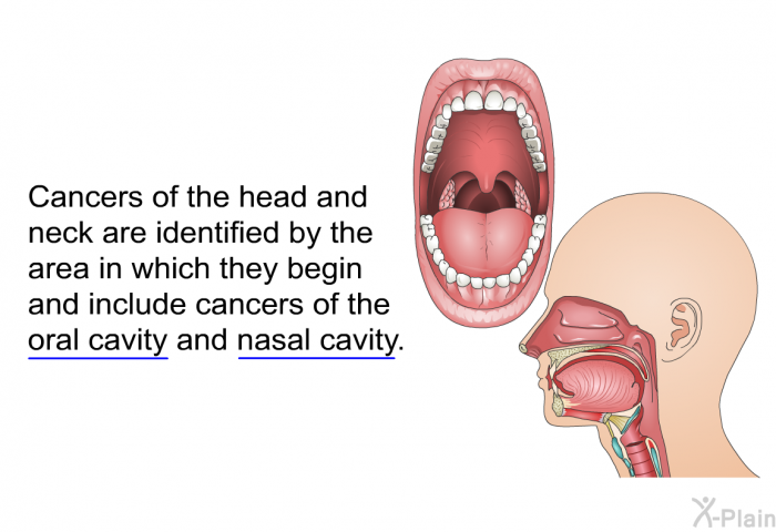 Cancers of the head and neck are identified by the area in which they begin and include cancers of the oral cavity and nasal cavity.