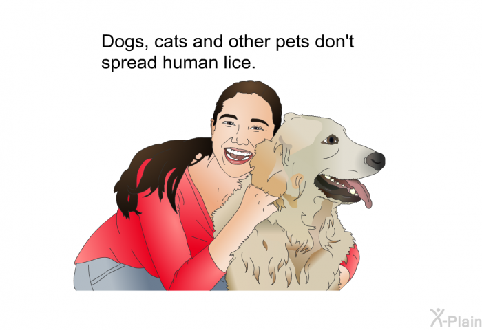 Dogs, cats and other pets don't spread human lice.