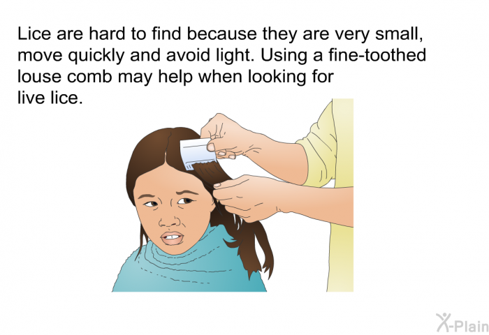 Lice are hard to find because they are very small, move quickly and avoid light. Using a fine-toothed louse comb may help when looking for live lice.