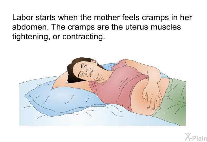 Labor starts when the mother feels cramps in her abdomen. The cramps are the uterus muscles tightening, or contracting.