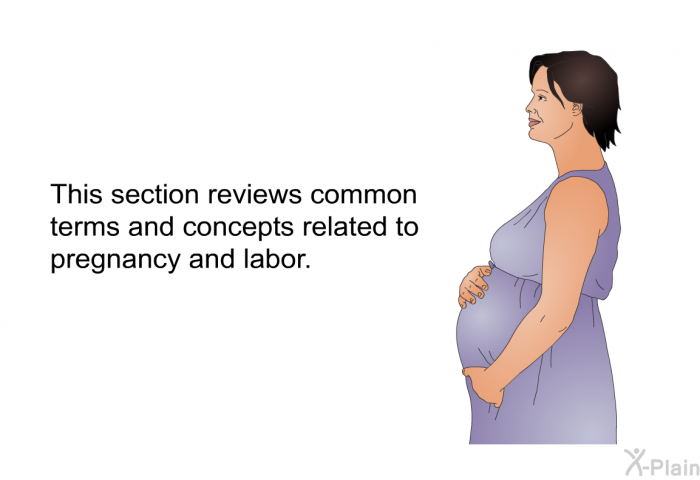This section reviews common terms and concepts related to pregnancy and labor.
