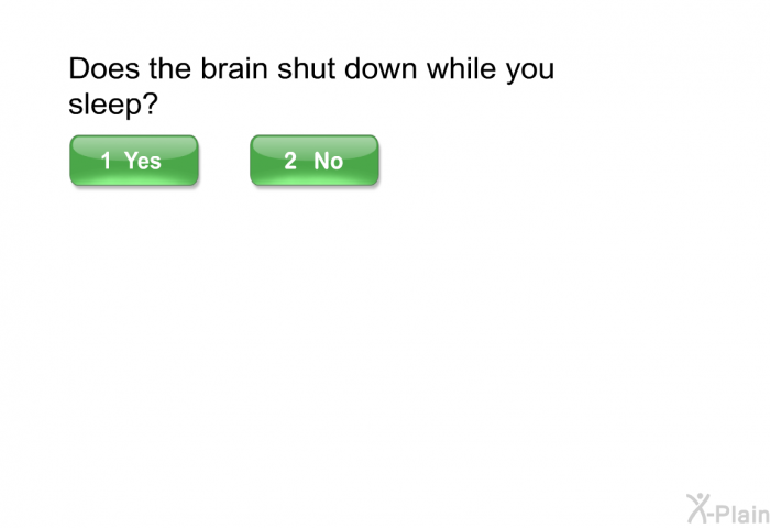 Does the brain shut down while you sleep?