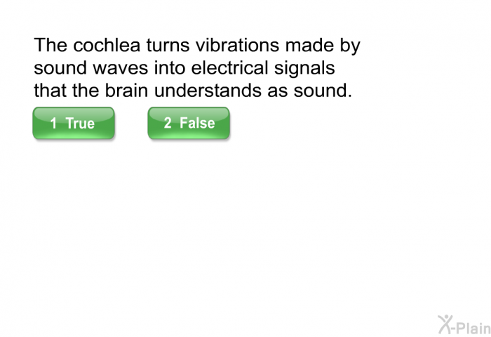 The cochlea turns vibrations made by sound waves into electrical signals that the brain understands as sound.