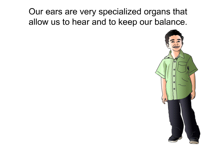 Our ears are very specialized organs that allow us to hear and to keep our balance.