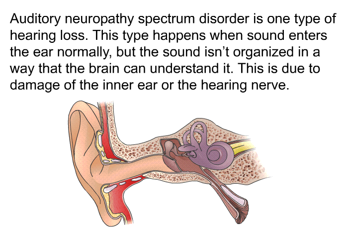 Auditory neuropathy spectrum disorder is one type of hearing loss. This type happens when sound enters the ear normally, but the sound isn't organized in a way that the brain can understand it. This is due to damage of the inner ear or the hearing nerve.