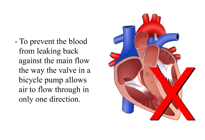 To prevent the blood from leaking back against the main flow the way the valve in a bicycle pump allows air to flow through in only one direction.