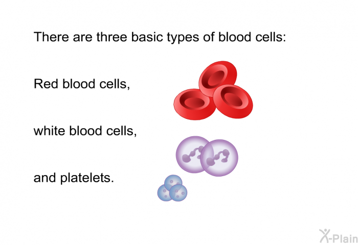 There are three basic types of blood cells: red blood cells, white blood cells, and platelets.