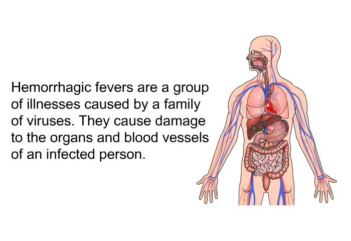 Hemorrhagic fevers are a group of illnesses caused by a family of viruses. They cause damage to the organs and blood vessels of an infected person.