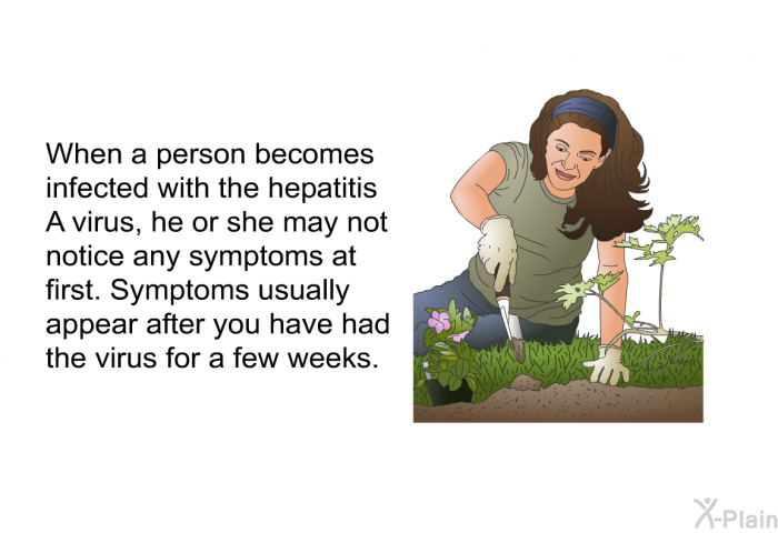 When a person becomes infected with the hepatitis A virus, he or she may not notice any symptoms at first. Symptoms usually appear after you have had the virus for a few weeks.