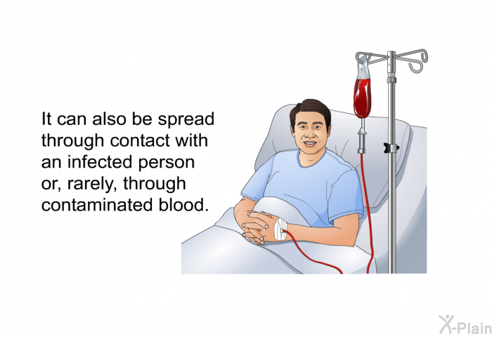It can also be spread through contact with an infected person or, rarely, through contaminated blood.