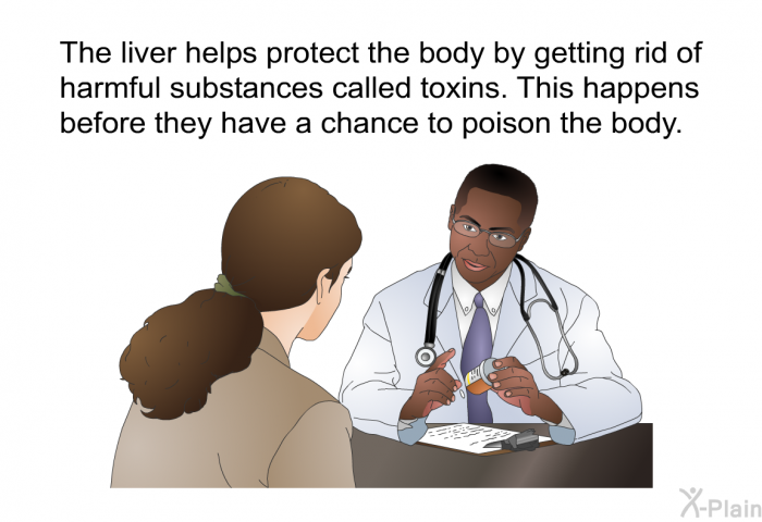 The liver helps protect the body by getting rid of harmful substances called toxins. This happens before they have a chance to poison the body.