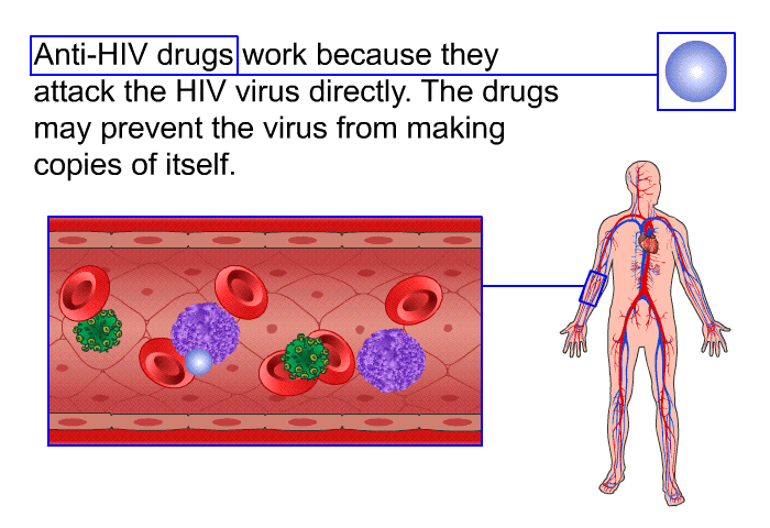 Anti-HIV drugs work because they attack the HIV virus directly. The drugs may prevent the virus from making copies of itself.