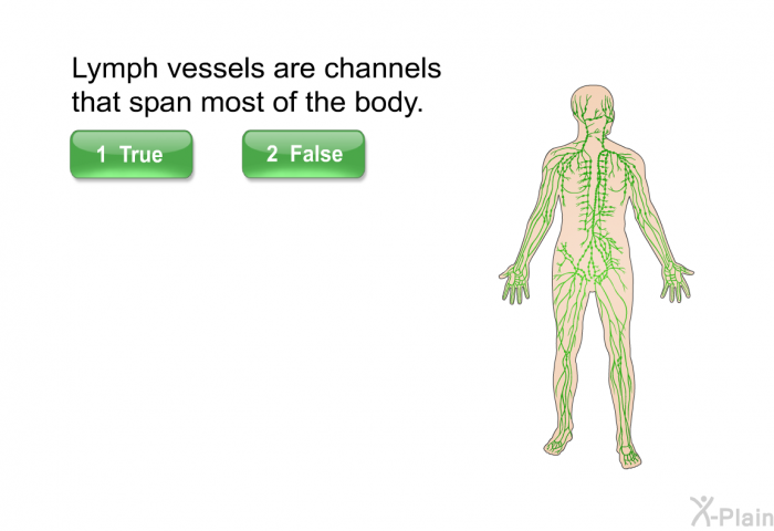 Lymph vessels are channels that span most of the body.