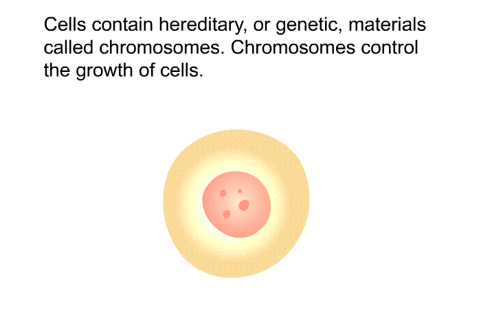 Cells contain hereditary, or genetic, materials called chromosomes. Chromosomes control the growth of cells.