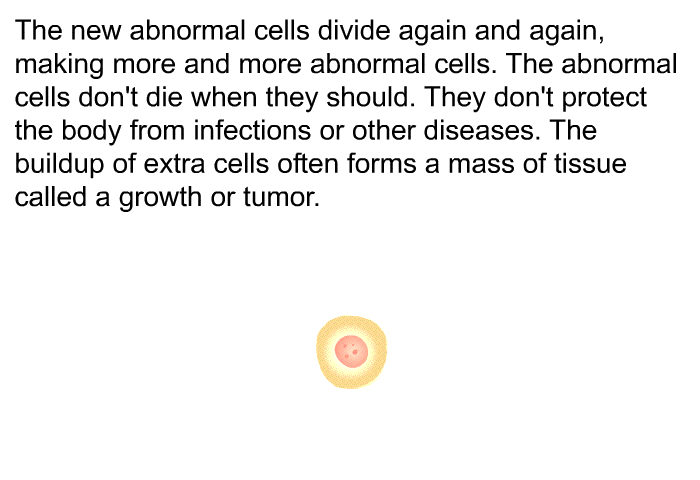 The new abnormal cells divide again and again, making more and more abnormal cells. The abnormal cells don't die when they should. They don't protect the body from infections or other diseases. The buildup of extra cells often forms a mass of tissue called a growth or tumor.