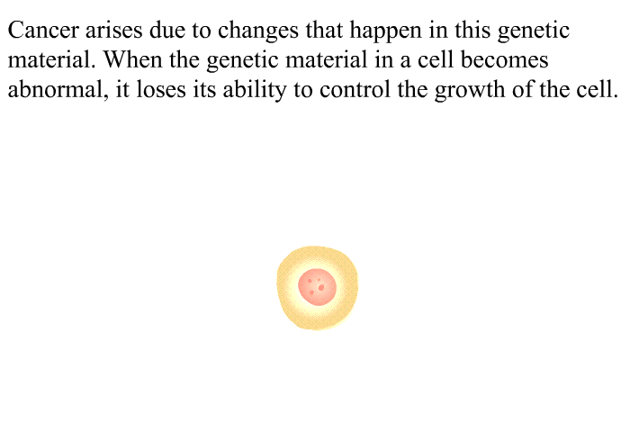 Cancer arises due to changes that happen in this genetic material. When the genetic material in a cell becomes abnormal, it loses its ability to control the growth of the cell.