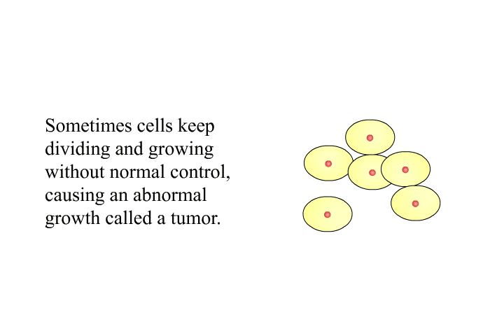 Sometimes cells keep dividing and growing without normal control, causing an abnormal growth called a tumor.
