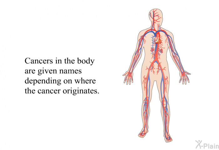 Cancers in the body are given names depending on where the cancer originates.