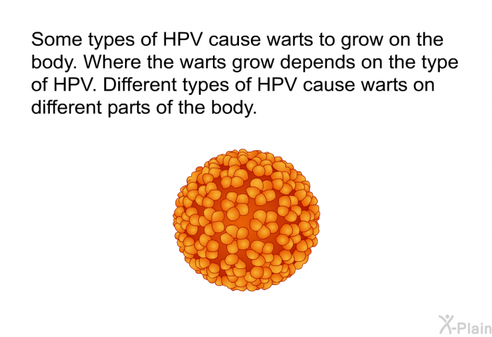 Some types of HPV cause warts to grow on the body. Where the warts grow depends on the type of HPV. Different types of HPV cause warts on different parts of the body.