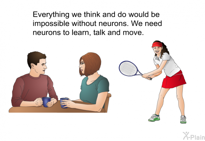 Everything we think and do would be impossible without neurons. We need neurons to learn, talk and move.
