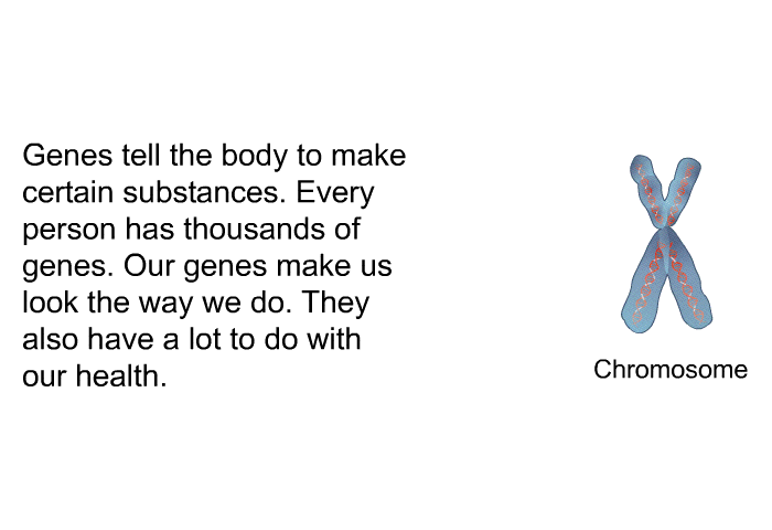 Genes tell the body to make certain substances. Every person has thousands of genes. Our genes make us look the way we do. They also have a lot to do with our health.