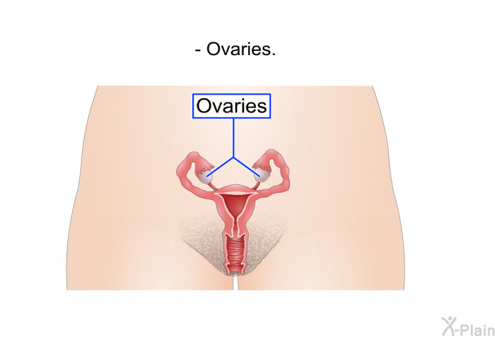 Ovaries.
