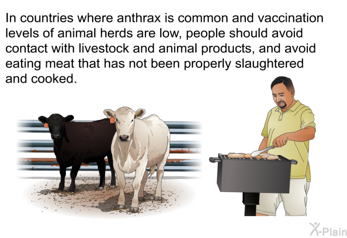 In countries where anthrax is common and vaccination levels of animal herds are low, people should avoid contact with livestock and animal products, and avoid eating meat that has not been properly slaughtered and cooked.