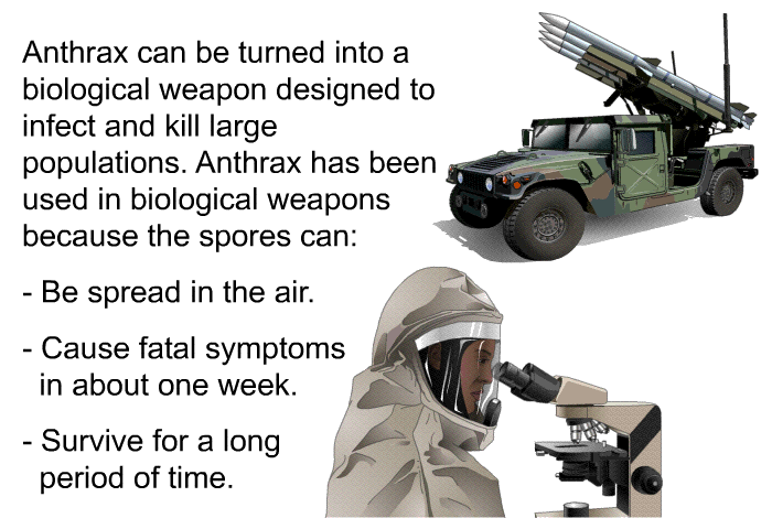 Anthrax can be turned into a biological weapon designed to infect and kill large populations. Anthrax has been used in biological weapons because the spores can:  Be spread in the air. Cause fatal symptoms in about one week. Survive for a long period of time.
