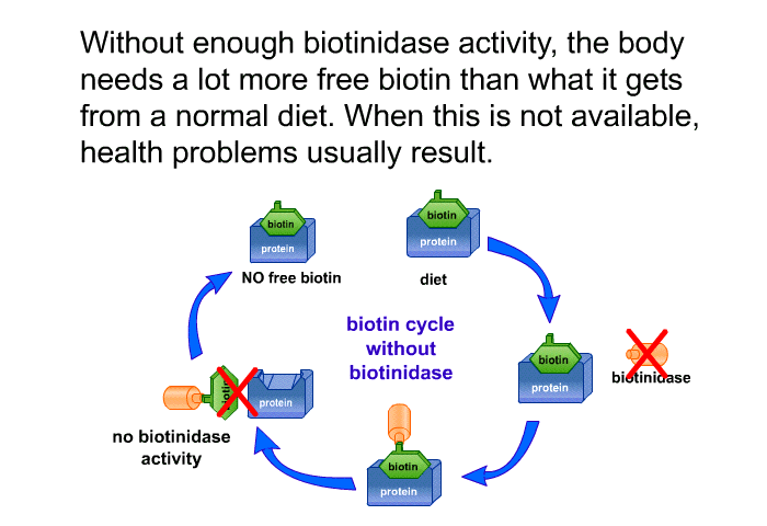 Without enough biotinidase activity, the body needs a lot more free biotin than what it gets from a normal diet. When this is not available, health problems usually result.