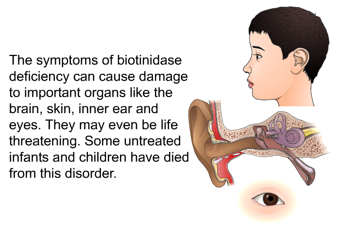 The symptoms of biotinidase deficiency can cause damage to important organs like the brain, skin, inner ear and eyes. They may even be life threatening. Some untreated infants and children have died from this disorder.