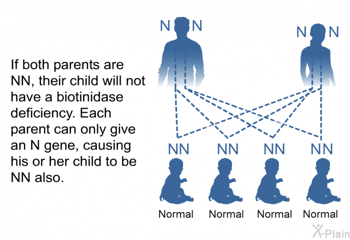 If both parents are NN, their child will not have a biotinidase deficiency. Each parent can only give an N gene, causing his or her child to be NN also.