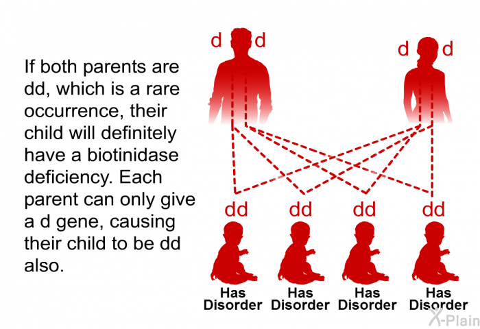 If both parents are dd, which is a rare occurrence, their child will definitely have a biotinidase deficiency. Each parent can only give a d gene, causing their child to be dd also.