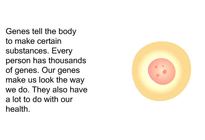 Genes tell the body to make certain substances. Every person has thousands of genes. Our genes make us look the way we do. They also have a lot to do with our health.