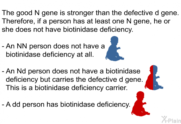 The good N gene is stronger than the defective d gene. Therefore, if a person has at least one N gene, he or she does not have biotinidase deficiency.  An NN person does not have a biotinidase deficiency at all. An Nd person does not have a biotinidase deficiency but carries the defective d gene. This is a biotinidase deficiency carrier. A dd person has biotinidase deficiency.