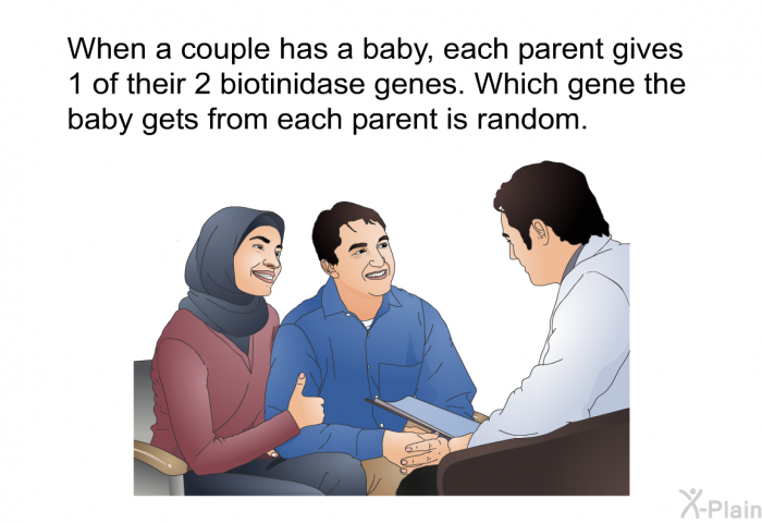 When a couple has a baby, each parent gives 1 of their 2 biotinidase genes. Which gene the baby gets from each parent is random.