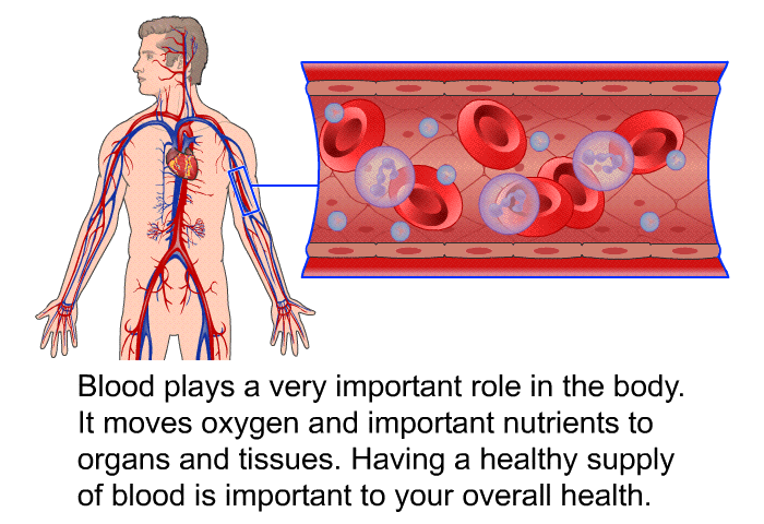 Blood plays a very important role in the body. It moves oxygen and important nutrients to organs and tissues. Having a healthy supply of blood is important to your overall health.