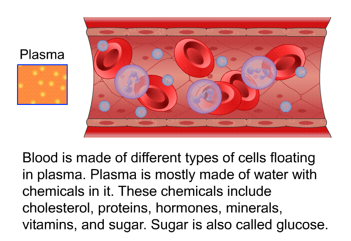 Blood is made of different types of cells floating in plasma. Plasma is mostly made of water with chemicals in it. These chemicals include cholesterol, proteins, hormones, minerals, vitamins, and sugar. Sugar is also called glucose.
