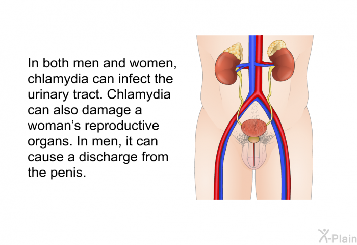 In both men and women, chlamydia can infect the urinary tract. Chlamydia can also damage a woman's reproductive organs. In men, it can cause a discharge from the penis.