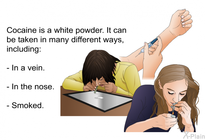 Cocaine is a white powder. It can be taken in many different ways, including:  In a vein. In the nose. Smoked.