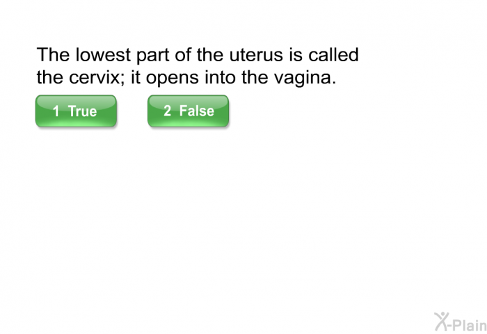 The lowest part of the uterus is called the cervix; it opens into the vagina.