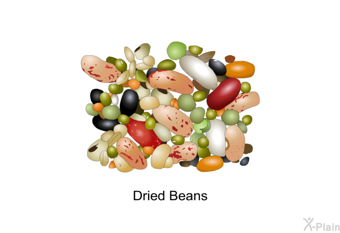 Dried Beans