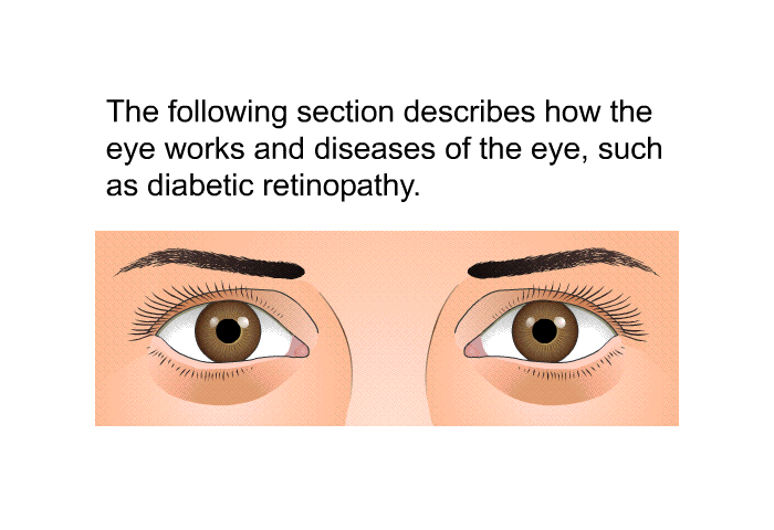 The following section describes how the eye works and diseases of the eye, such as diabetic retinopathy.