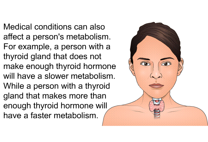 Medical conditions can also affect a person's metabolism. For example, a person with a thyroid gland that does not make enough thyroid hormone will have a slower metabolism. While a person with a thyroid gland that makes more than enough thyroid hormone will have a faster metabolism.