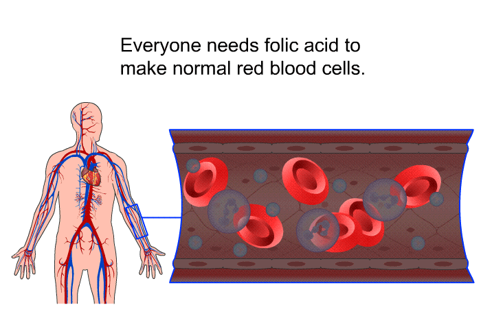 Everyone needs folic acid to make normal red blood cells.
