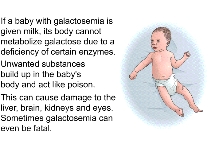 If a baby with galactosemia is given milk, its body cannot metabolize galactose due to a deficiency of certain enzymes. Unwanted substances build up in the baby's body and act like poison. This can cause damage to the liver, brain, kidneys and eyes. Sometimes galactosemia can even be fatal.